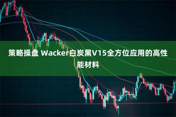 策略操盘 Wacker白炭黑V15全方位应用的高性能材料