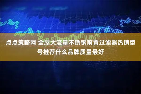点点策略网 全屋大流量不锈钢前置过滤器热销型号推荐什么品牌质量最好