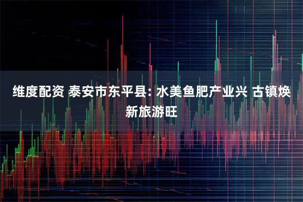 维度配资 泰安市东平县: 水美鱼肥产业兴 古镇焕新旅游旺